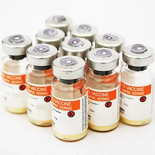 Masern-Impfstoff Masern-Impfstoff