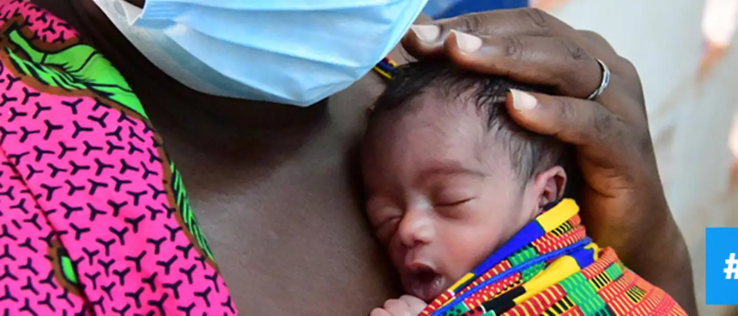 head-petnology head-petnology