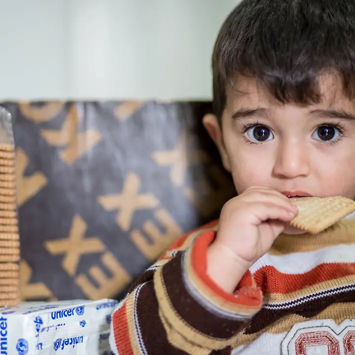 ernährungspaket-gross-nebenbild-3 ernährungspaket-gross-nebenbild-3