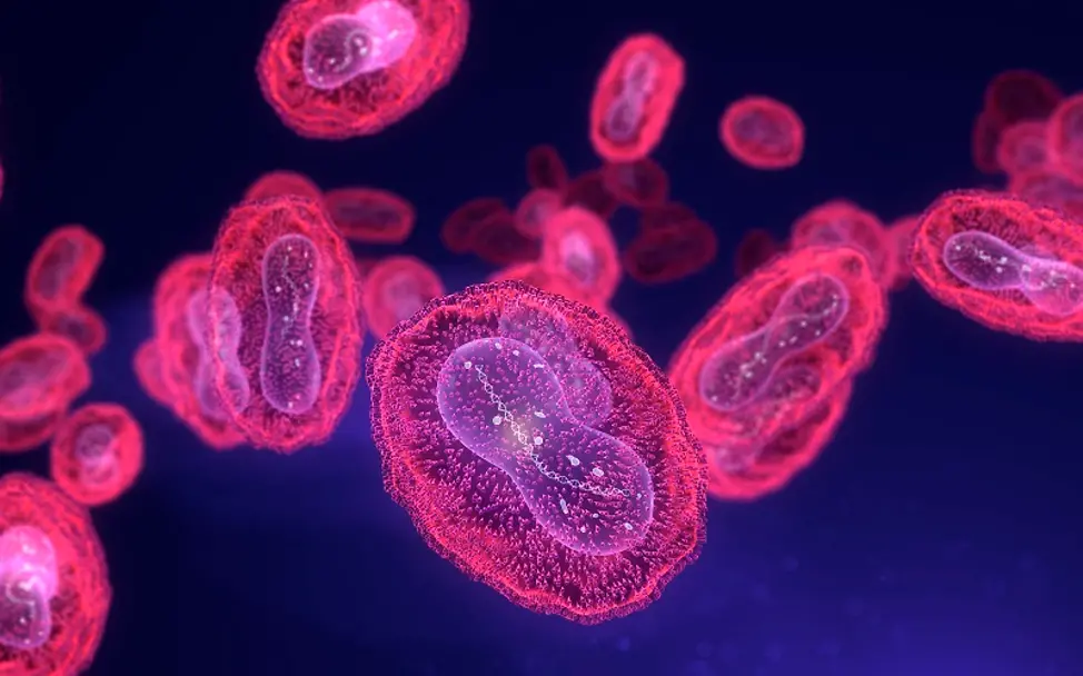 Illustration des Mpox-Virus | © TUMEGGY/SCIENCE PHOTO LIBRARY / MTT / Science Photo Library via AFP Illustration des Mpox-Virus