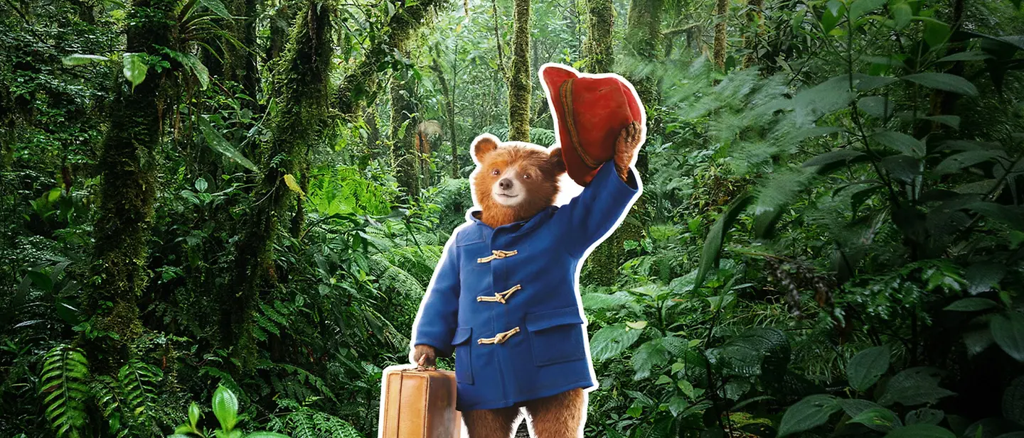 Paddingtons Postkarten | © P&CO. LTD/SC 2025 Der Bär Paddington steht mit Koffer in der Tatze in einem Jungle und hebt zum Gruß den Hut.