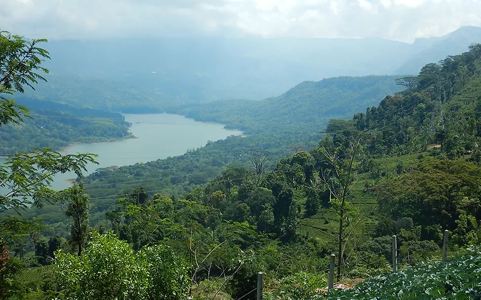Die Landschaft um das Dorf Thispanekanda. | © UNICEF DT/2015/Beate Jung Sri Lanka: Landschaft um das Dorf Thispanekanda.